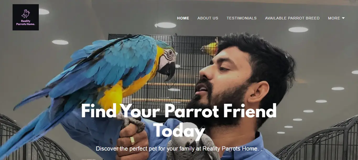 Realityparrotshome