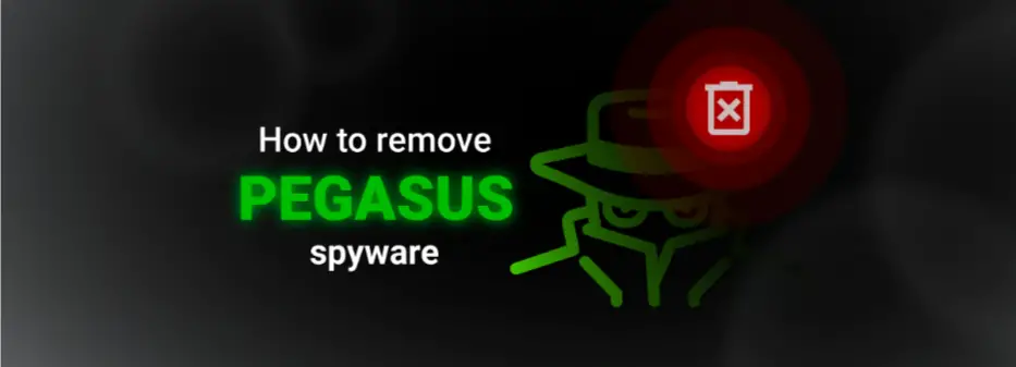 Pegasus Spyware Scam Email