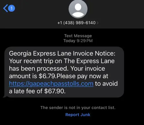 Georgia Express Lane