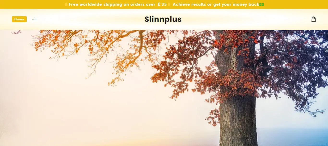 Slinnplus